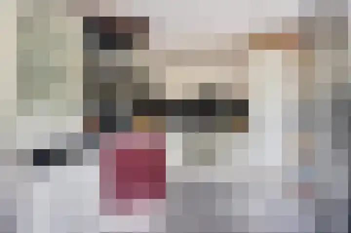 Grevelingenhout 6 Bruinisse thumbnail 16