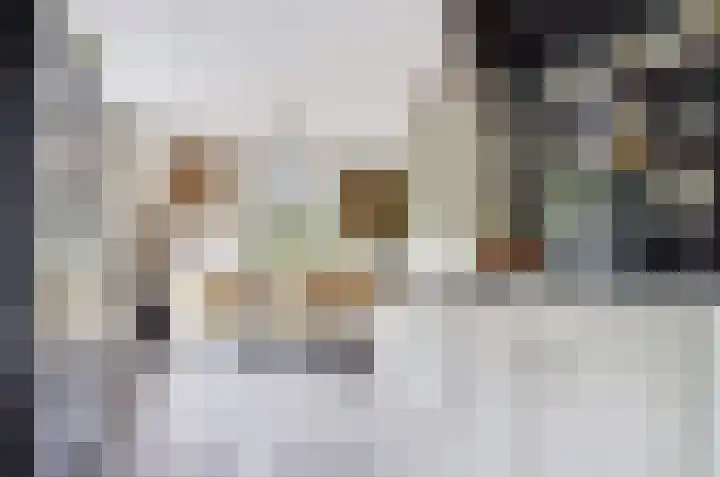 Grevelingenhout 6 Bruinisse thumbnail 18