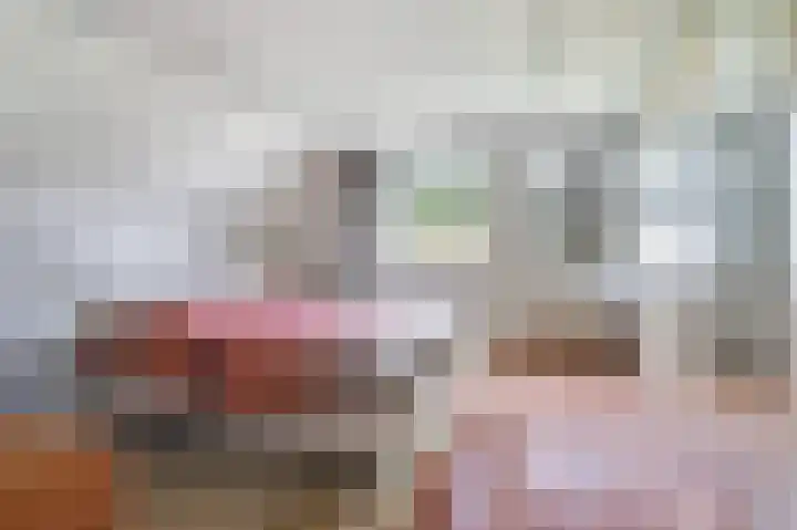 Grevelingenhout 6 Bruinisse thumbnail 19