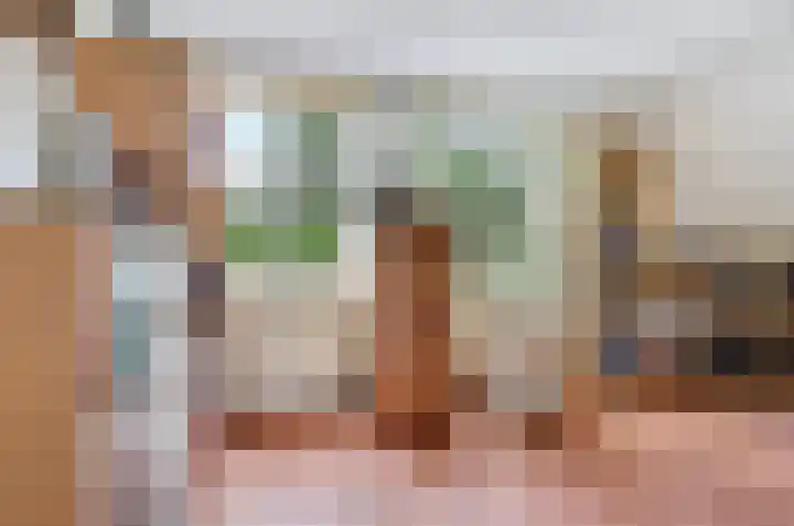 Grevelingenhout 6 Bruinisse thumbnail 22