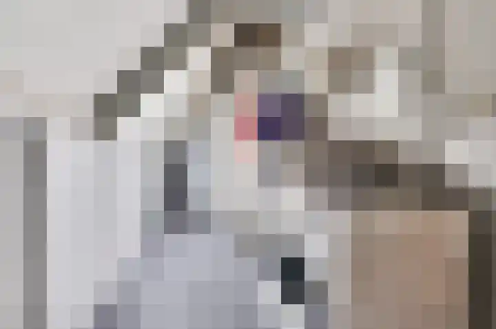 Grevelingenhout 6 Bruinisse thumbnail 26