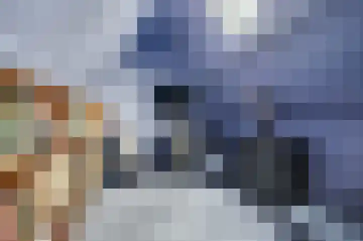 Grevelingenhout 6 Bruinisse thumbnail 30