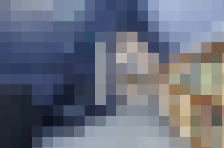 Grevelingenhout 6 Bruinisse thumbnail 31