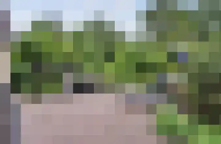 Grevelingenhout 6 Bruinisse thumbnail 33