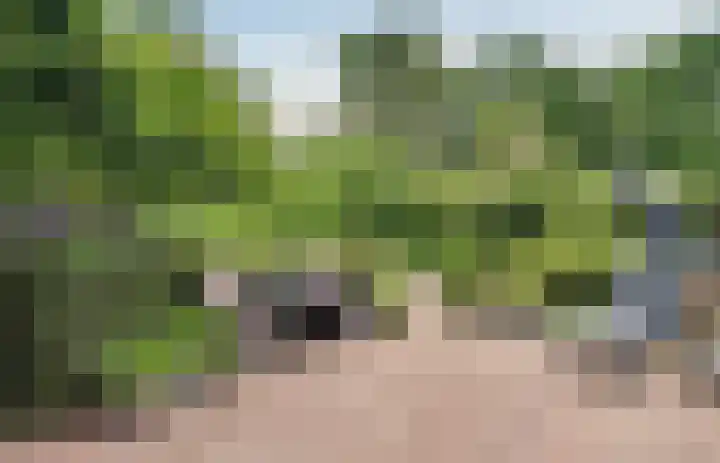 Grevelingenhout 6 Bruinisse thumbnail 34