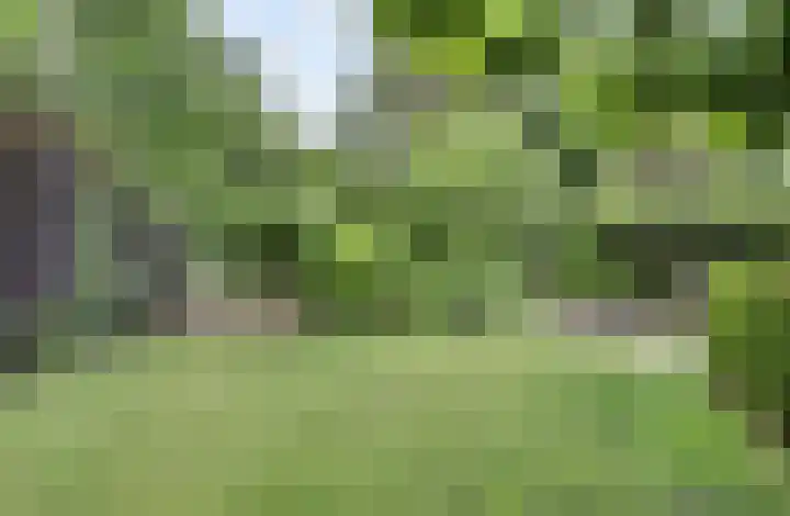 Grevelingenhout 6 Bruinisse thumbnail 35
