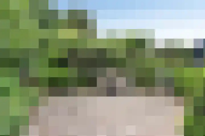 Grevelingenhout 6 Bruinisse thumbnail 36