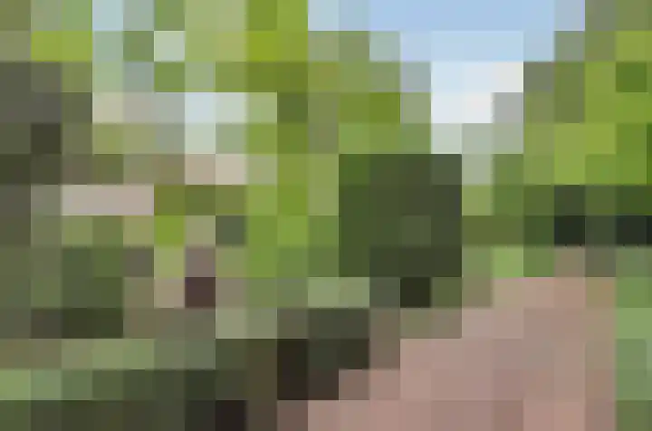 Grevelingenhout 6 Bruinisse thumbnail 37