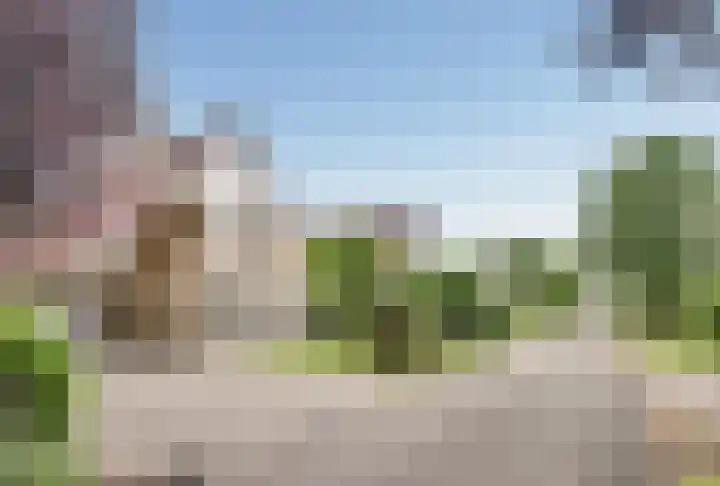 Grevelingenhout 6 Bruinisse thumbnail 38