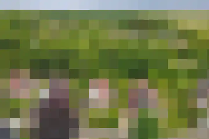 Grevelingenhout 6 Bruinisse thumbnail 39
