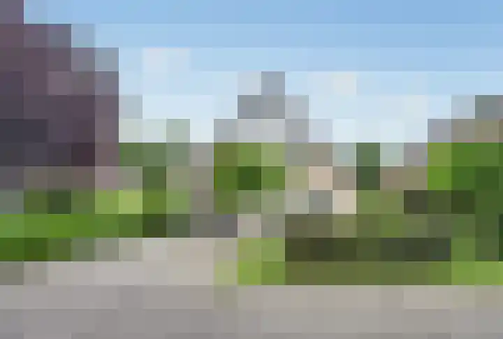 Grevelingenhout 6 Bruinisse thumbnail 4