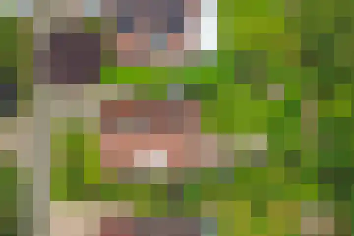 Grevelingenhout 6 Bruinisse thumbnail 40