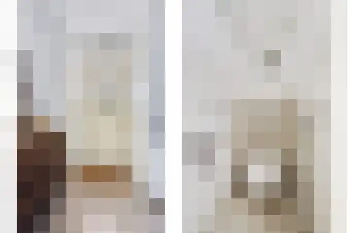 Grevelingenhout 6 Bruinisse thumbnail 8
