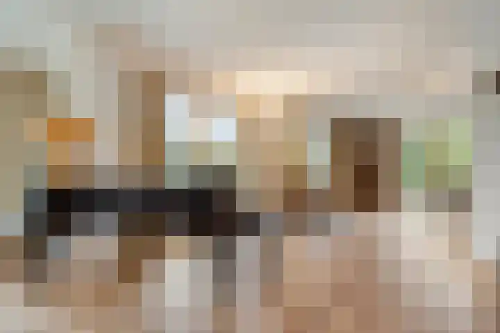 Grevelingenhout 70 Bruinisse thumbnail 11