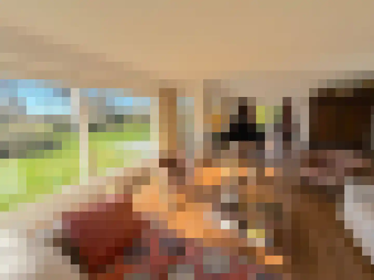 Grevelingenhout 70 Bruinisse thumbnail 17