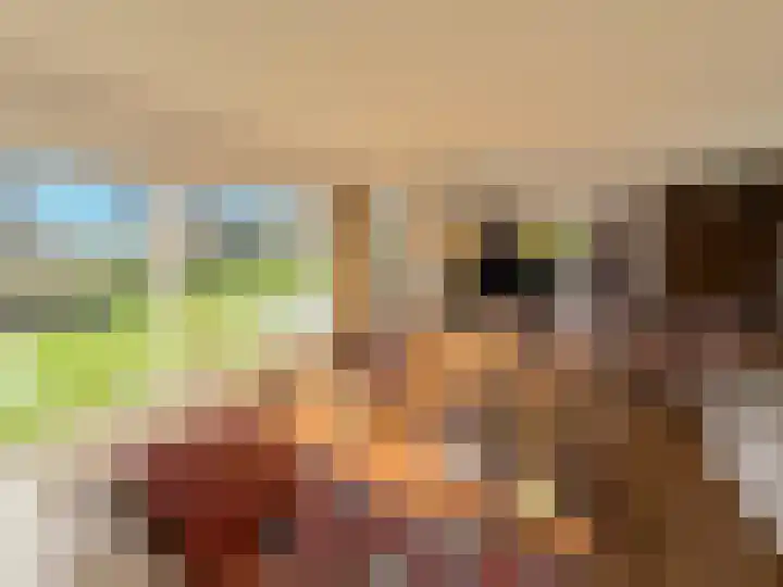 Grevelingenhout 70 Bruinisse thumbnail 17