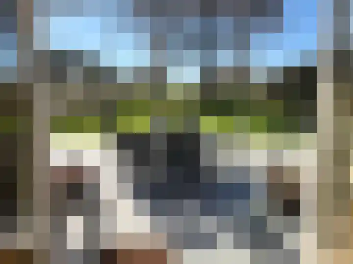Grevelingenhout 70 Bruinisse thumbnail 23