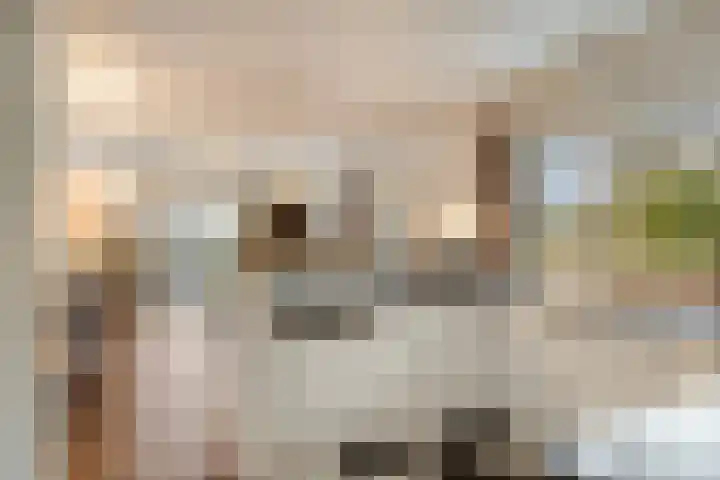 Grevelingenhout 70 Bruinisse thumbnail 25