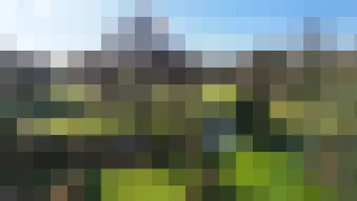 Grevelingenhout 70 Bruinisse thumbnail 41