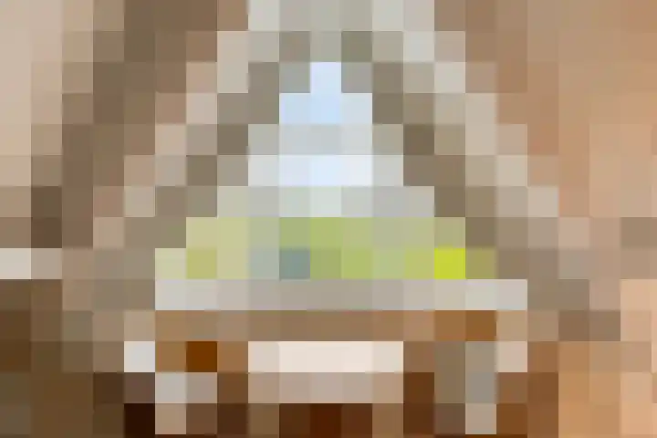 Grevelingenhout 70 Bruinisse thumbnail 46
