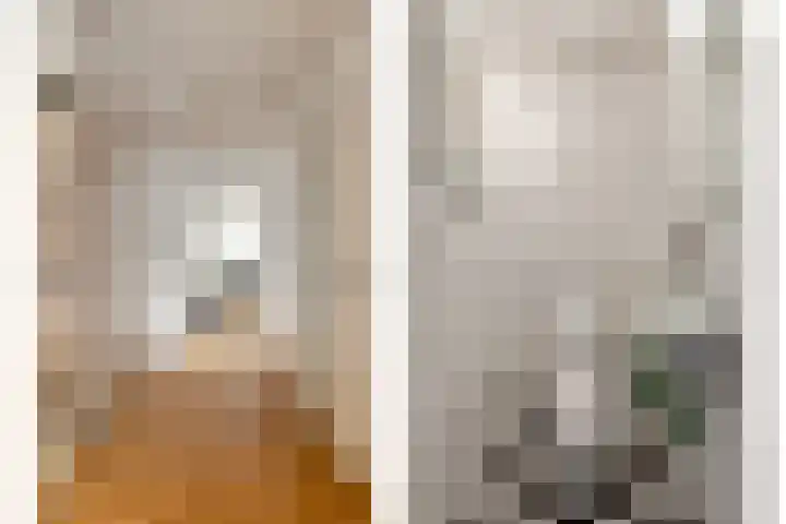 Grevelingenhout 70 Bruinisse thumbnail 51