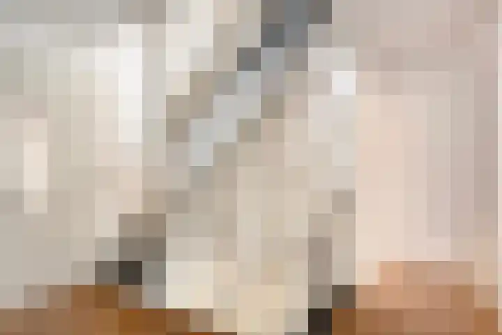 Grevelingenhout 70 Bruinisse thumbnail 53