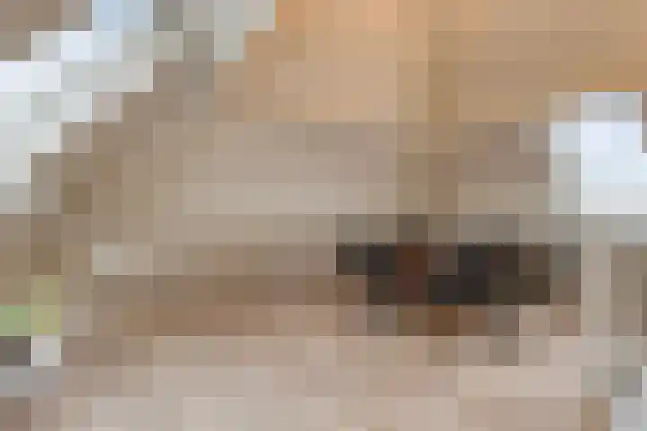 Grevelingenhout 70 Bruinisse thumbnail 54