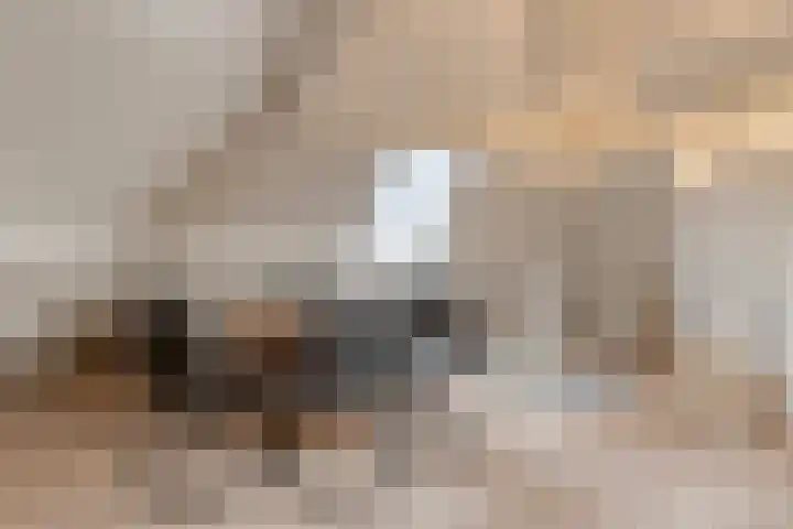 Grevelingenhout 70 Bruinisse thumbnail 55