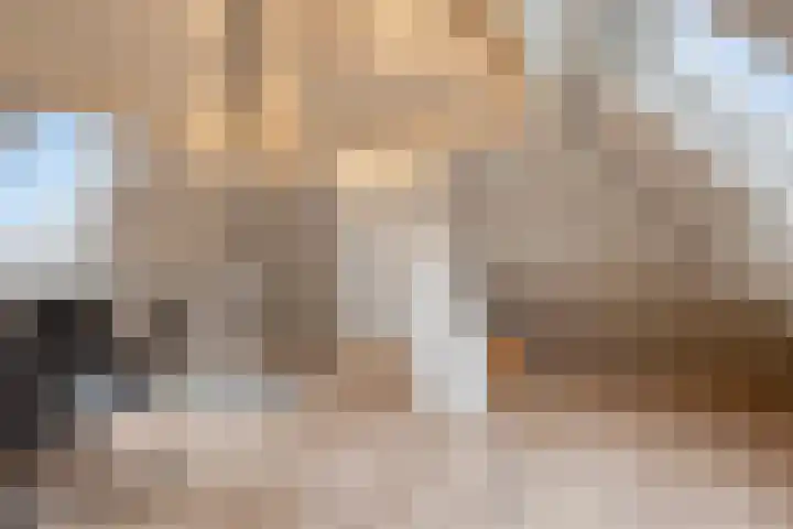 Grevelingenhout 70 Bruinisse thumbnail 57