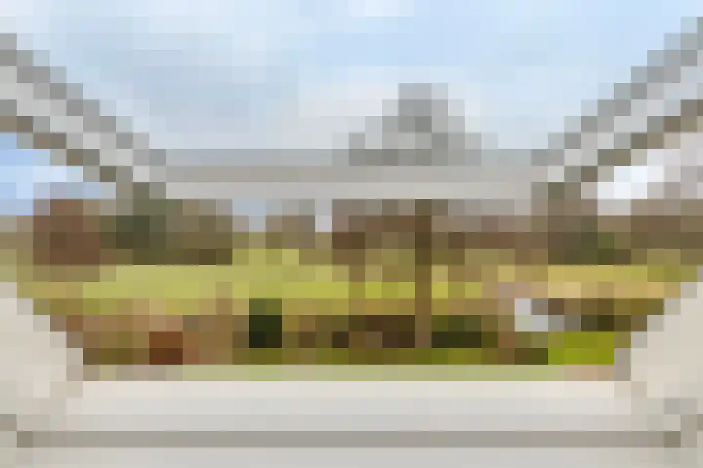 Grevelingenhout 70 Bruinisse thumbnail 59