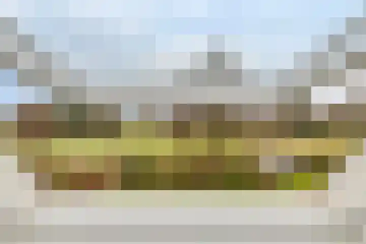 Grevelingenhout 70 Bruinisse thumbnail 59