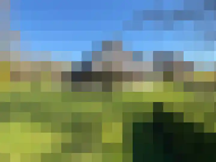 Grevelingenhout 70 Bruinisse thumbnail 60
