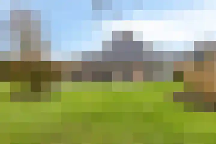 Grevelingenhout 70 Bruinisse thumbnail 62