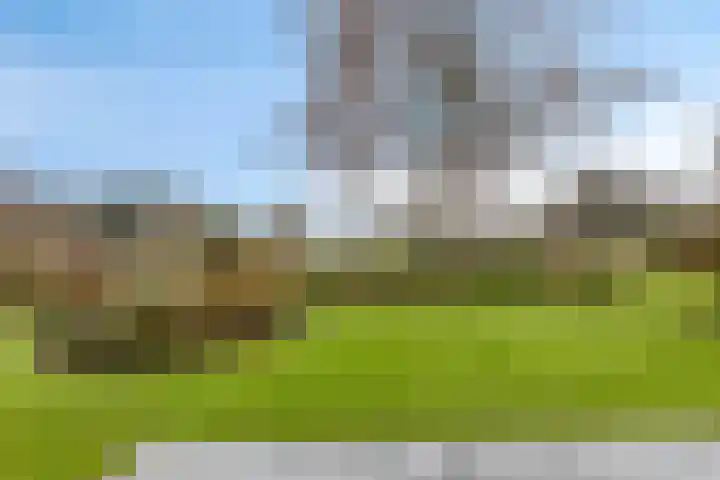 Grevelingenhout 70 Bruinisse thumbnail 63