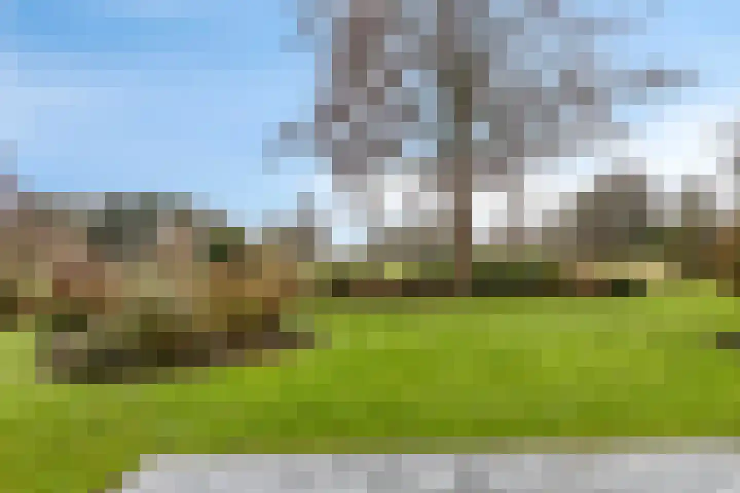 Grevelingenhout 70 Bruinisse thumbnail 63