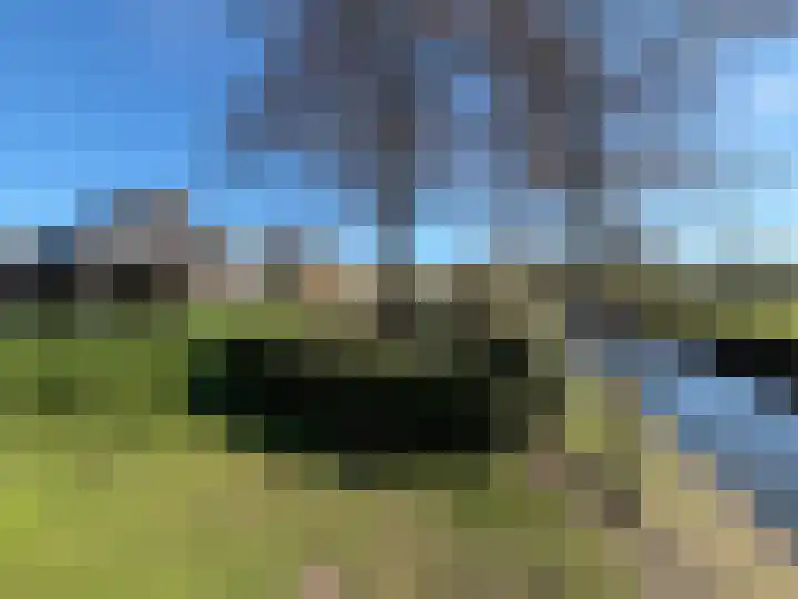 Grevelingenhout 70 Bruinisse thumbnail 65