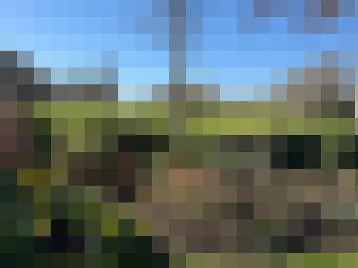 Grevelingenhout 70 Bruinisse thumbnail 69
