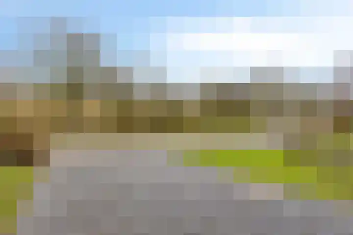 Grevelingenhout 70 Bruinisse thumbnail 7