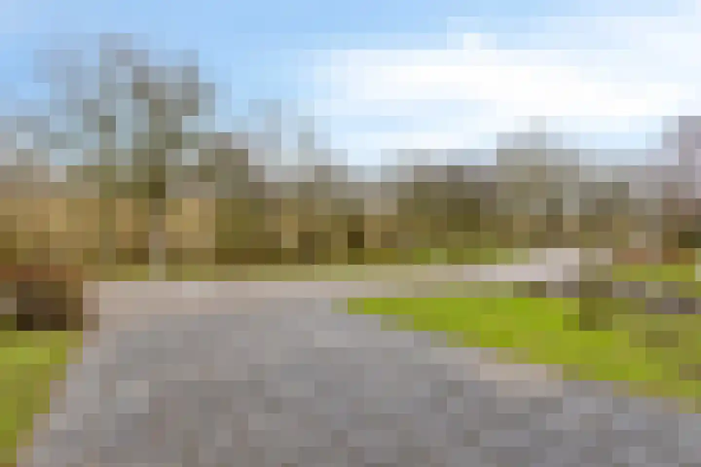 Grevelingenhout 70 Bruinisse thumbnail 7