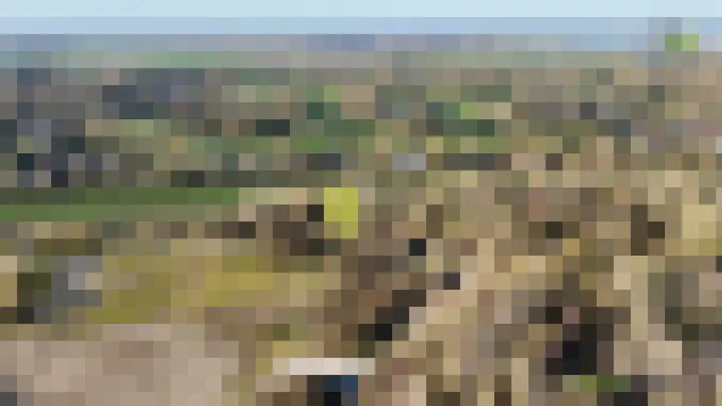Grevelingenhout 70 Bruinisse thumbnail 71