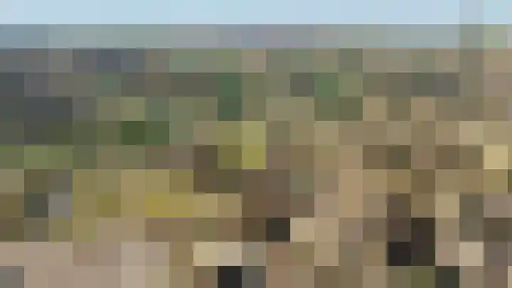 Grevelingenhout 70 Bruinisse thumbnail 71