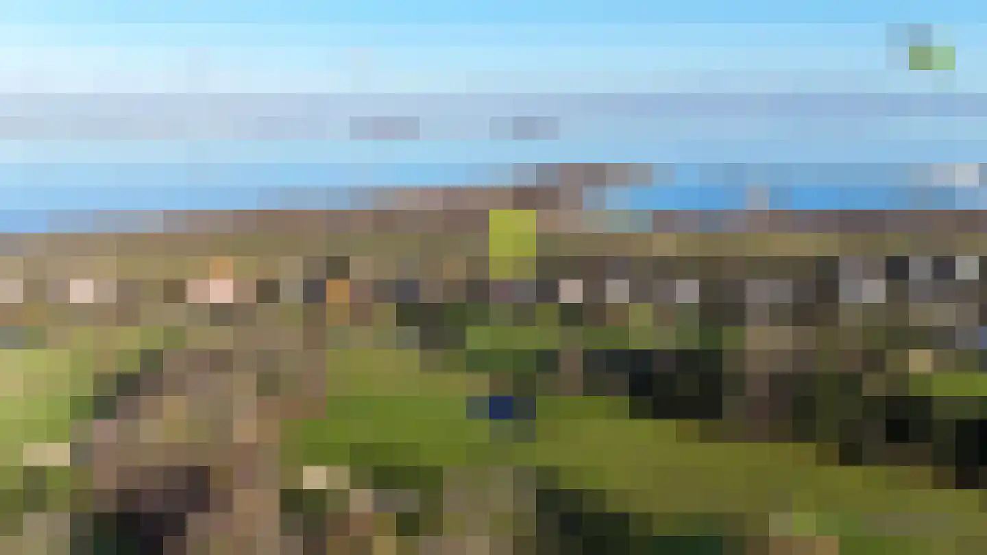 Grevelingenhout 70 Bruinisse thumbnail 72