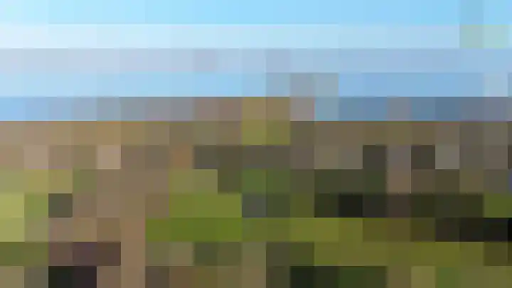 Grevelingenhout 70 Bruinisse thumbnail 72