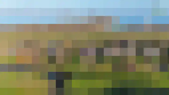 Grevelingenhout 70 Bruinisse thumbnail 74