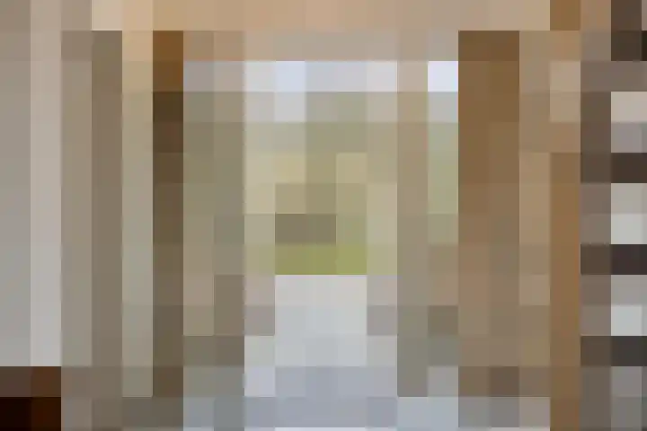 Grevelingenhout 70 Bruinisse thumbnail 8