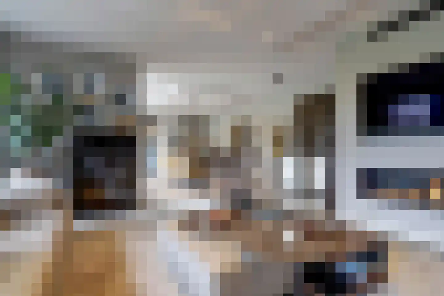 Grevelingenhout 74 Bruinisse thumbnail 13
