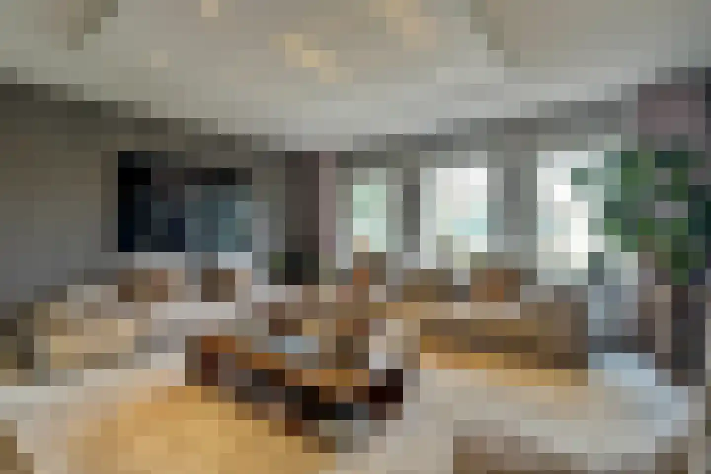 Grevelingenhout 74 Bruinisse thumbnail 14