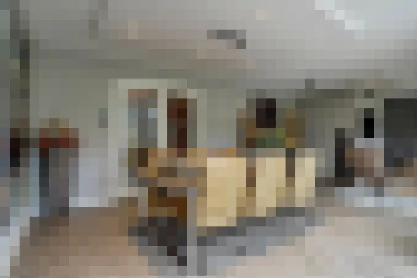 Grevelingenhout 74 Bruinisse thumbnail 20
