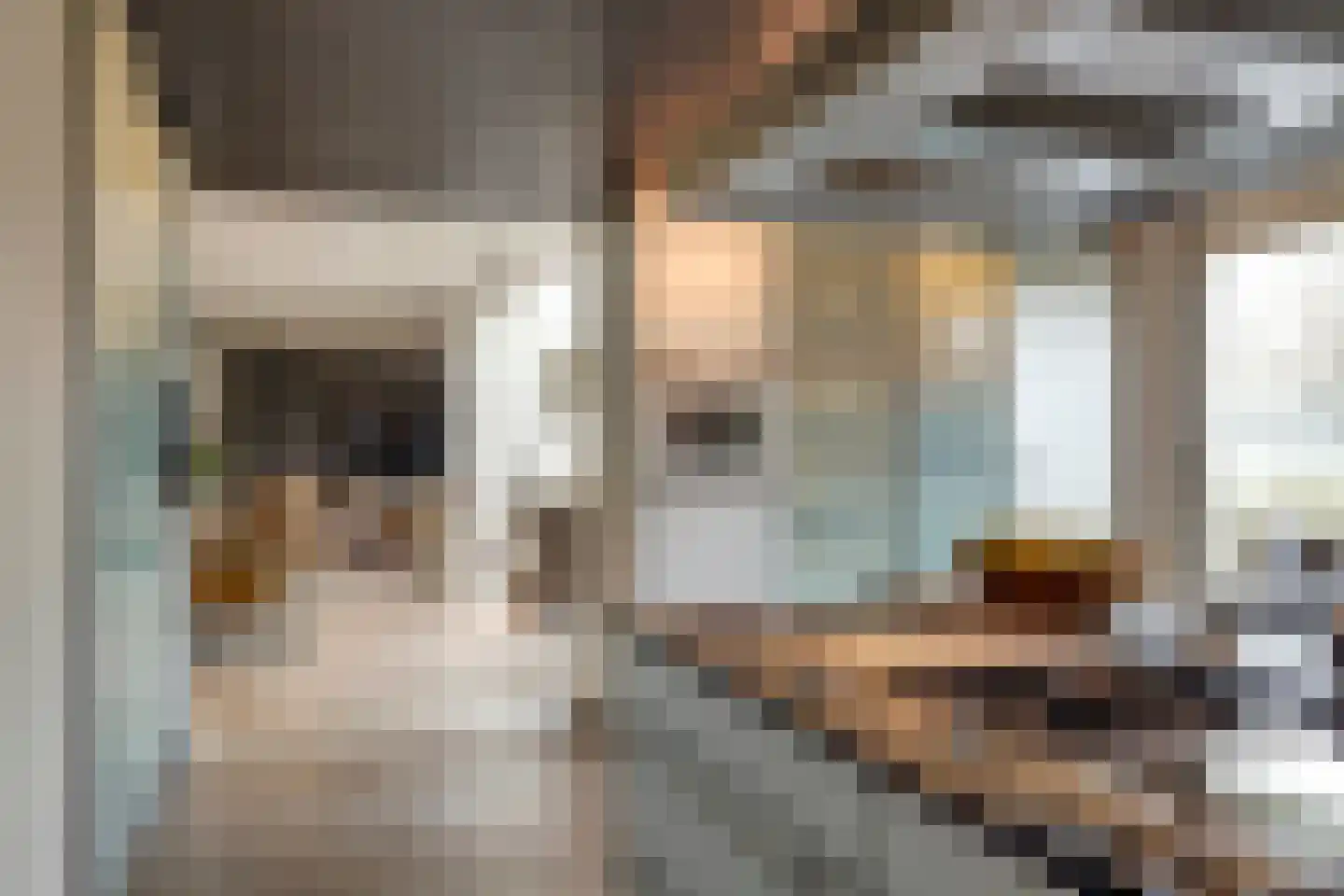 Grevelingenhout 74 Bruinisse thumbnail 23