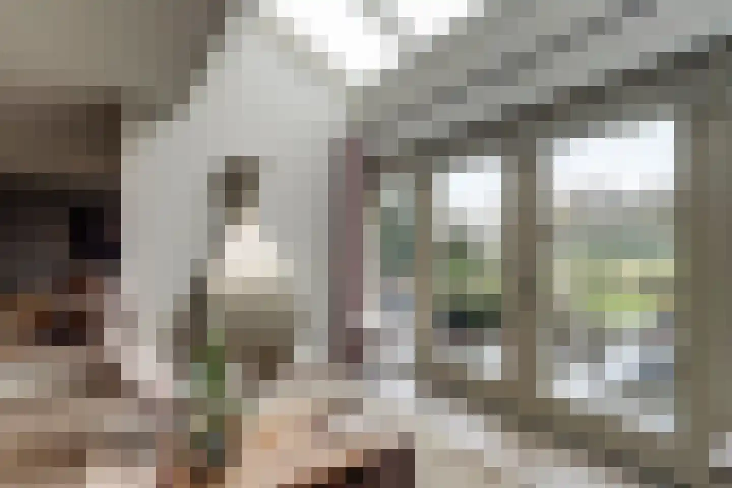 Grevelingenhout 74 Bruinisse thumbnail 32